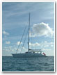 Landfall Barbados