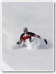 tessier Dualski