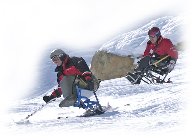 skiers in ski bobs